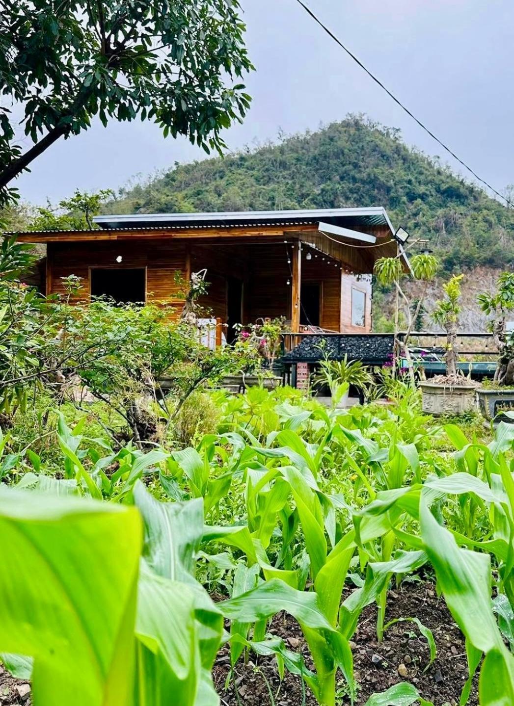 Cat Ba Love House Xuan Dam Buitenkant foto