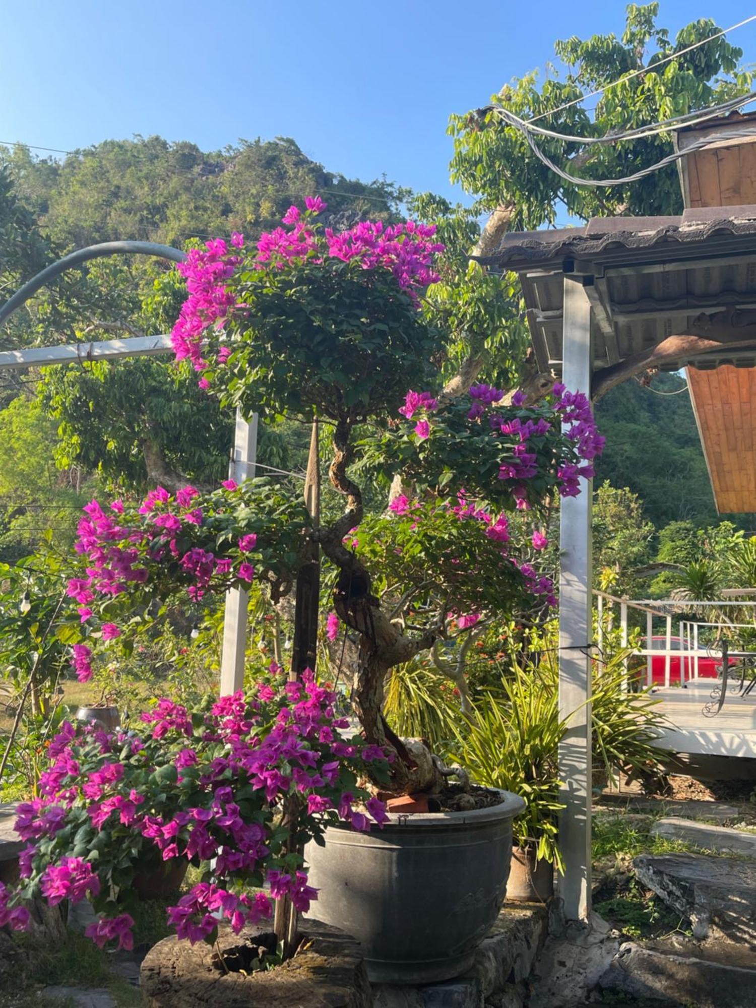 Cat Ba Love House Xuan Dam Buitenkant foto